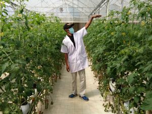 TASAGEOBY-Group-visited-Smart-Greenhouses-in-Pengelengan5